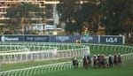 ATC board hopeful labels Rosehill sale process a ‘betrayal’