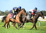 A $5 million burden - Racing Victoria puts onus on jockeys, trainers to reach agreement over jumpouts pay