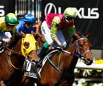 Knight's Choice wins 2024 Melbourne Cup in a result that floors a nation