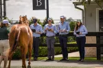 Run The Numbers – Breeze-up revival as two-year-old market hits new heights