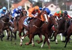 Roaring breakthrough could lead to genetic testing for thoroughbred respiratory condition