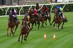 Trainers and jockey pay spat to prove a test of Morrison’s leadership