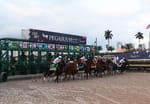 Racetracks vs real estate - Gulfstream clouds overshadow Pegasus meeting