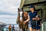 Straight Talk Podcast - Magic Millions preview with Barry Bowditch