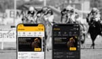 Betfair’s commission creep increases pressure on punters and turnover