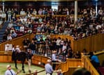Straight Shorts - Tuesday May 6 - A Karaka shake-up, Tabcorp's live play, Frankie goes to Stake, Tarzino leads Westbury roster
