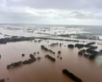 Straight Shorts - Wednesday May 21 - Floods impact NSW trainers, Pippie's daughter wins on debut, France reduces prize money, new head of racing for Seven Network