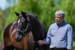 Straight Shorts - Monday May 19 - Orton steps down from TBNSW board, ACMA has US wagering operator in its sights, another NH stakes success for Zoustar, contingency plan for Amelia's Jewel