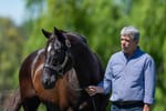 Orton does it his way - long-serving Vinery general manager steps away from leading Hunter Valley stud