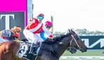 Straight Shorts - Thursday May 1 - Quokka in black-type move, I Am Invincible colt to stand in Victoria, jumps double for Duke Of Bedford, Maher trains Warrnambool Cup winner, Flutter continues expansion