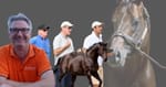 Rowe On Monday - Yarraman Park hits the right note with Lloyd Webber, NZ Hall of Fame recognition for Savabeel
