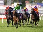 Run The Numbers - A Cool reminder of Zabeel’s influence
