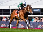 Run The Numbers – The stats that matter on the 57 Australian Group 1 winners of 2024/25