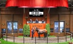 Fireburn’s bright - Golden Slipper winner’s first-born foal sells for $3.3 million in Japan