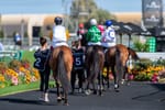 State of optimism - Bawden targets SA racing revival as data points to growing contribution