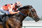 Beyond Black Caviar – The legacy of equine perfection lives on for Neil Werrett