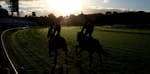 Trainer backlash forces ATC to review 10 per cent stable rent hike