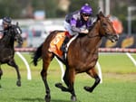 Caulfield Guineas winner Griff lands in Tasmania