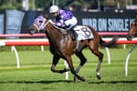 Virtual Star - Olentia makes $2.6 million at Magic Millions sale