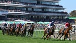 ‘Does it matter if they're not a Group 1?’ - Scott dismisses Pattern fears as semantics