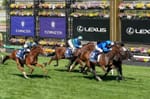 A pattern of behaviour – Australian racing‘s groundhog day