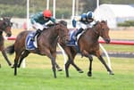 New Zealand moves Oaks to try and preserve Group 1 status and downgrades Thorndon Mile