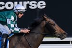 Moment of concern – Star mare’s spring campaign on hold for now after colic scare