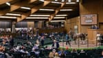 Randwick one day, Kentucky the next - Widdup takes flight to Keeneland with Mulberry’s backing