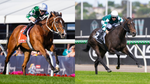 Separate paths, same destination for Yulong’s Cox Plate-bound mares