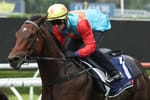 Trial and error - Purton, Hayes say improvement to come from ‘agitated’ Ka Ying Rising