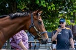 Magic Millions leans on Asian buyers ahead of Horses in Training Sale