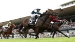 Shooting the breeze - Why faster times aren’t a guide to better buys at two-year-old sales
