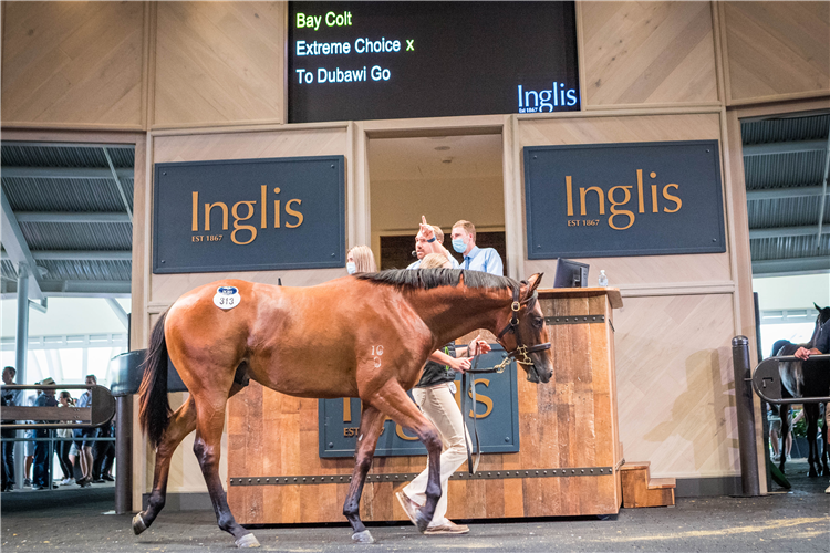 Inglis Classic catalogue released