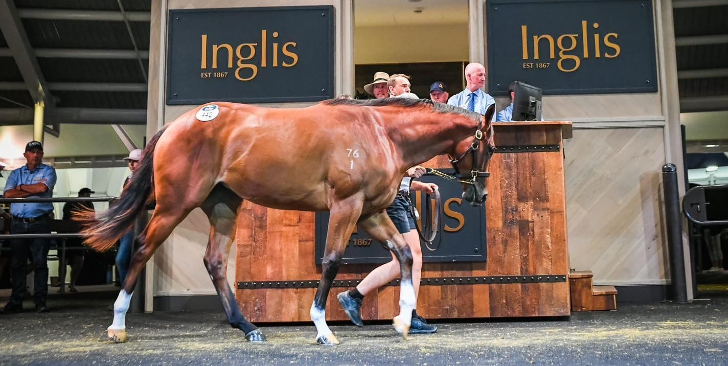 What will be the five biggest stories in breeding and bloodstock in 2024?