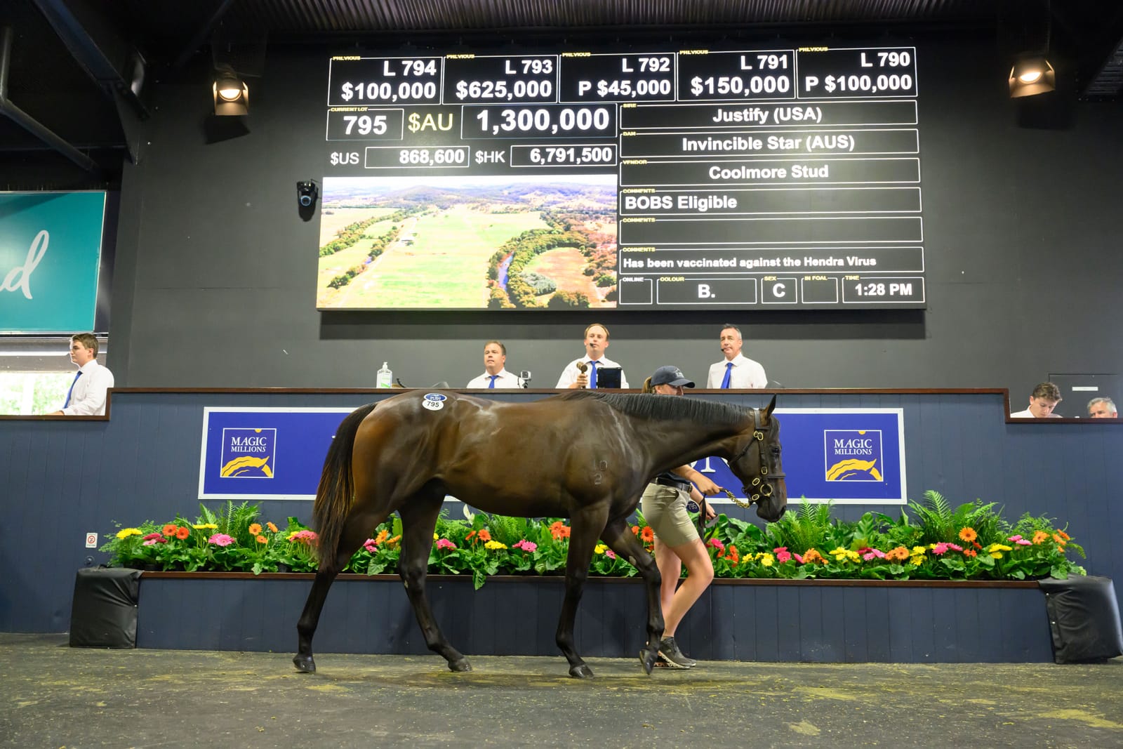 Waterhouse/Bott back Storm Boy recipe with another Justify