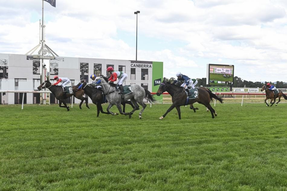 Capital result for Canberra racing as government backs redevelopment