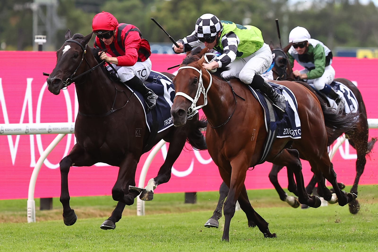 Run The Numbers – A win a day as Zoustar sets record pace