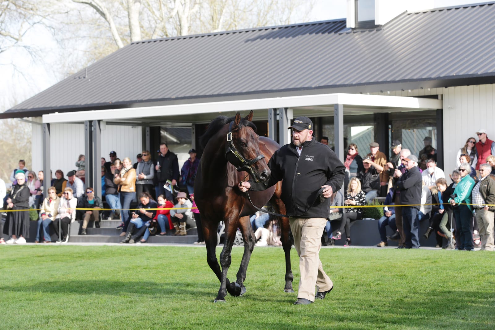 Cambridge Stud confirms 2024 service fees