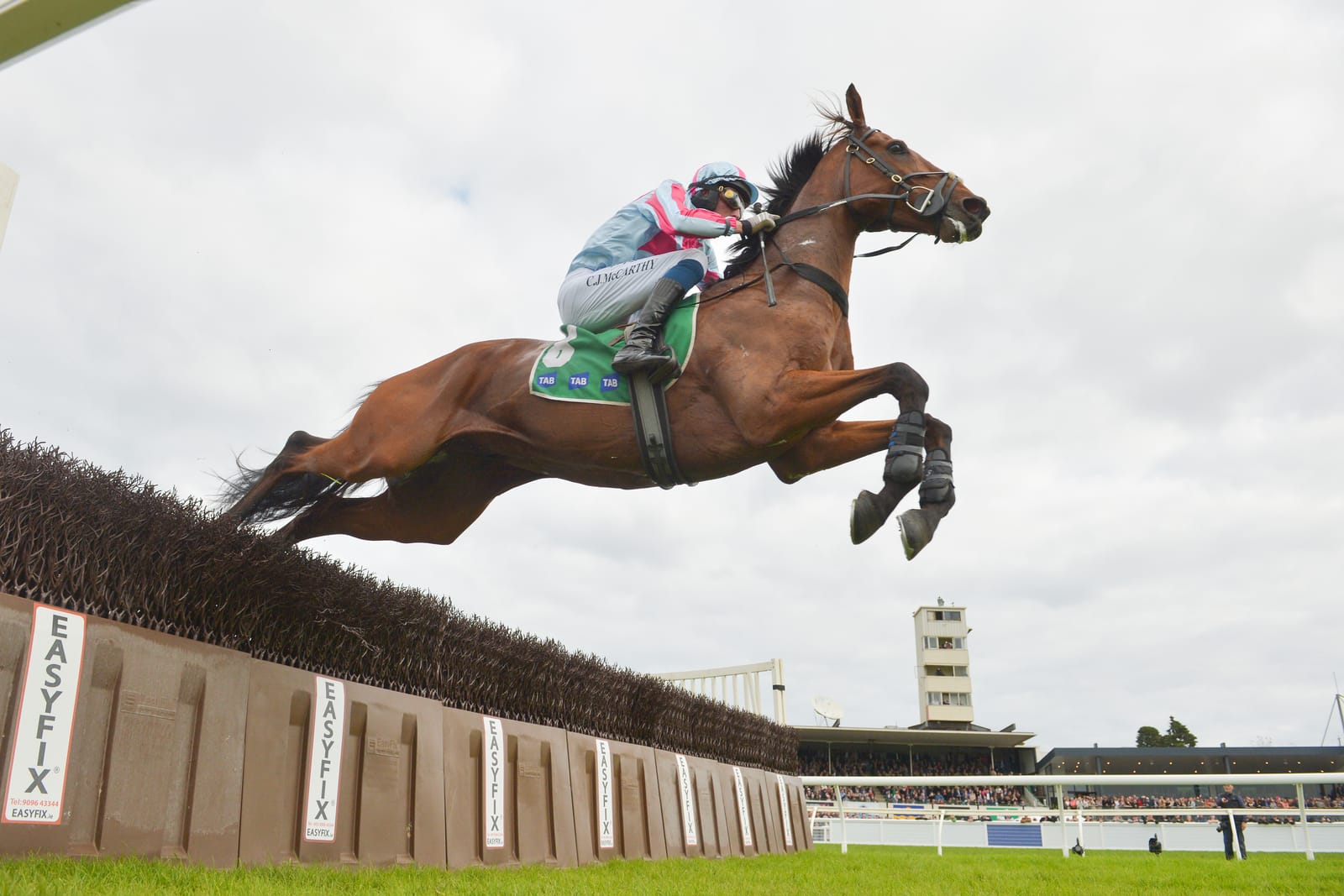 ‘Patience and planning’ – The challenge that keeps Ciaron Maher coming back to the jumps of Warrnambool