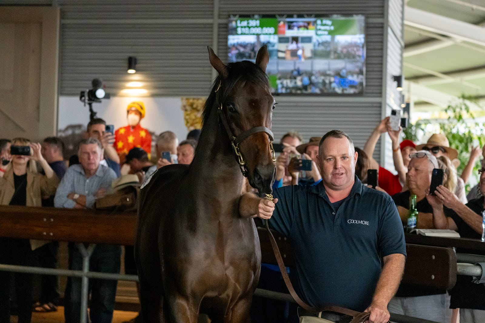 “She was in big trouble” – Paddy Sheehan’s journey from bedside vigil to record-breaking sale