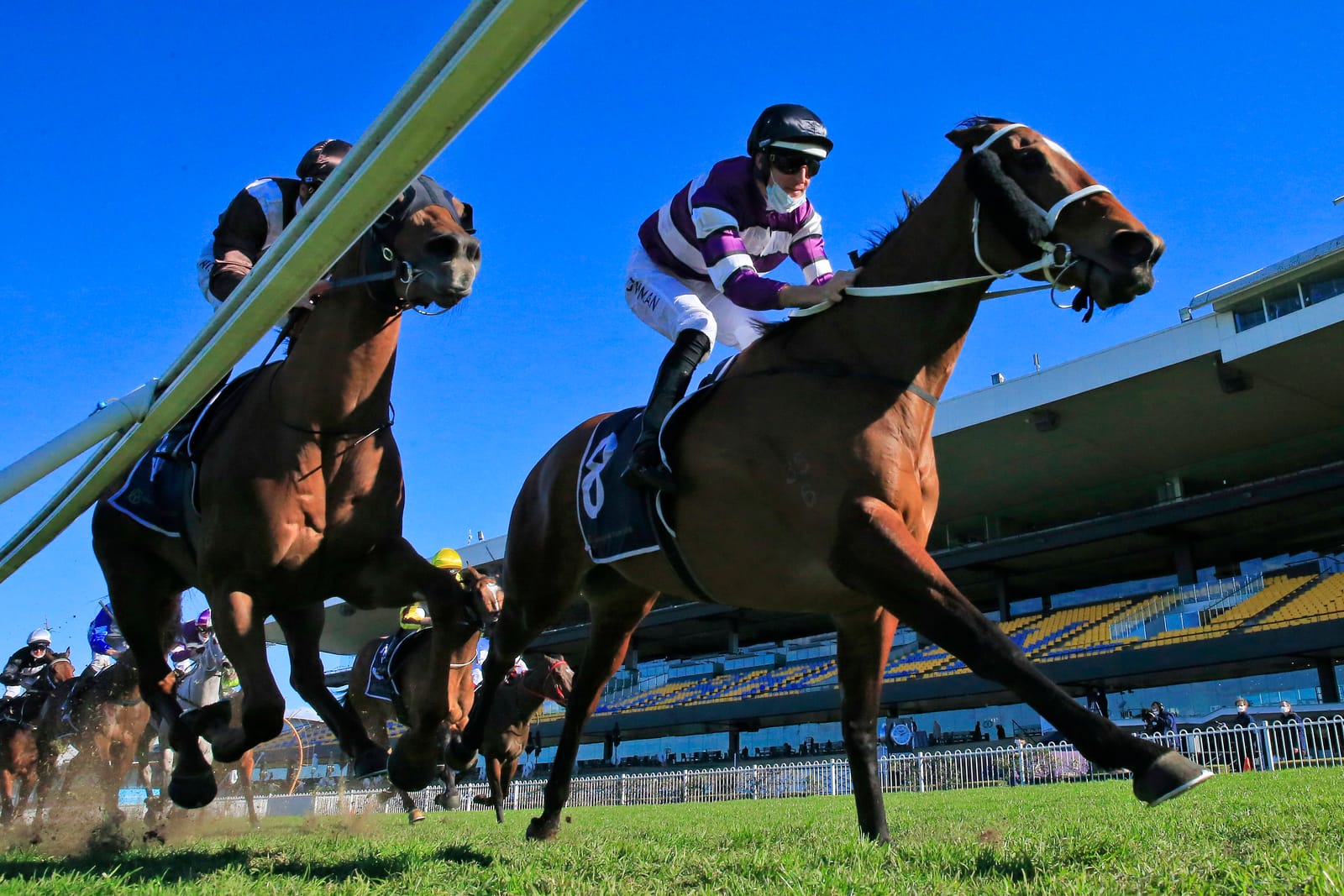 Tough trade at Inglis Broodmare sale