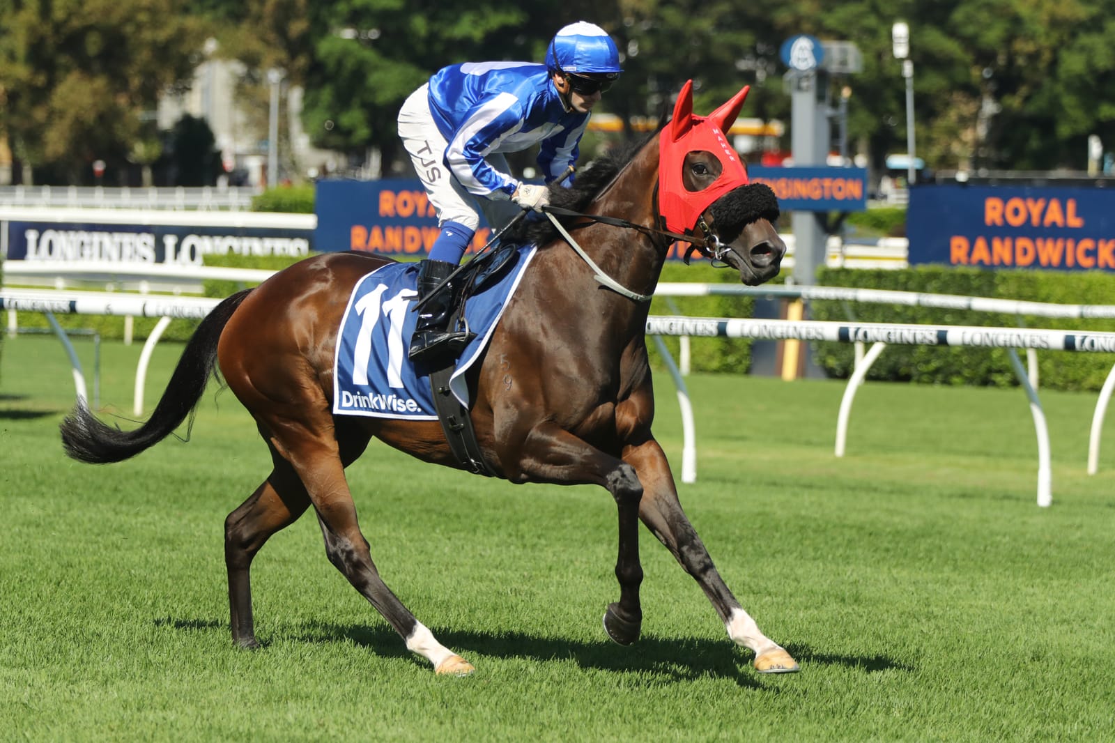 Ruthless Dame joins Magic Millions mares