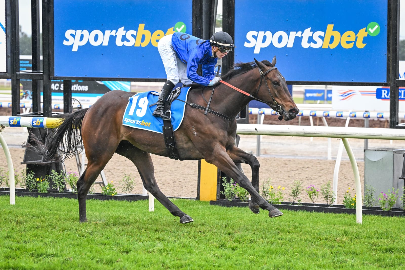 Sportsbet still caught in wagering downdraft