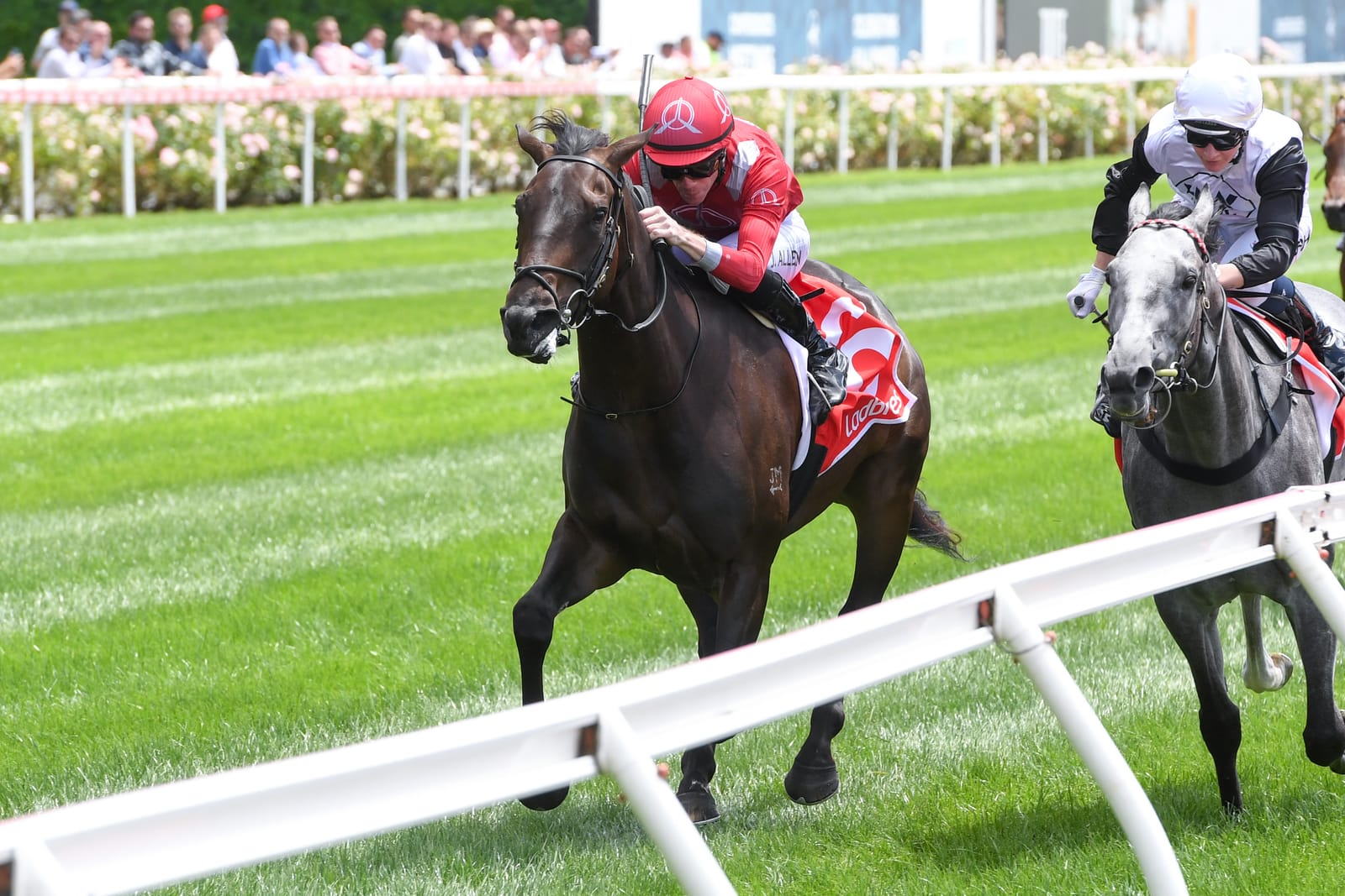 Tracked - The Saturday Racing Review - June 8