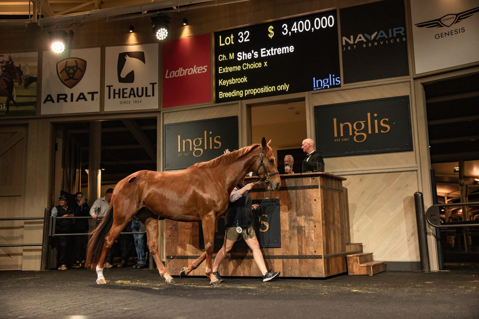 Run The Numbers – Group 1 mares on the market