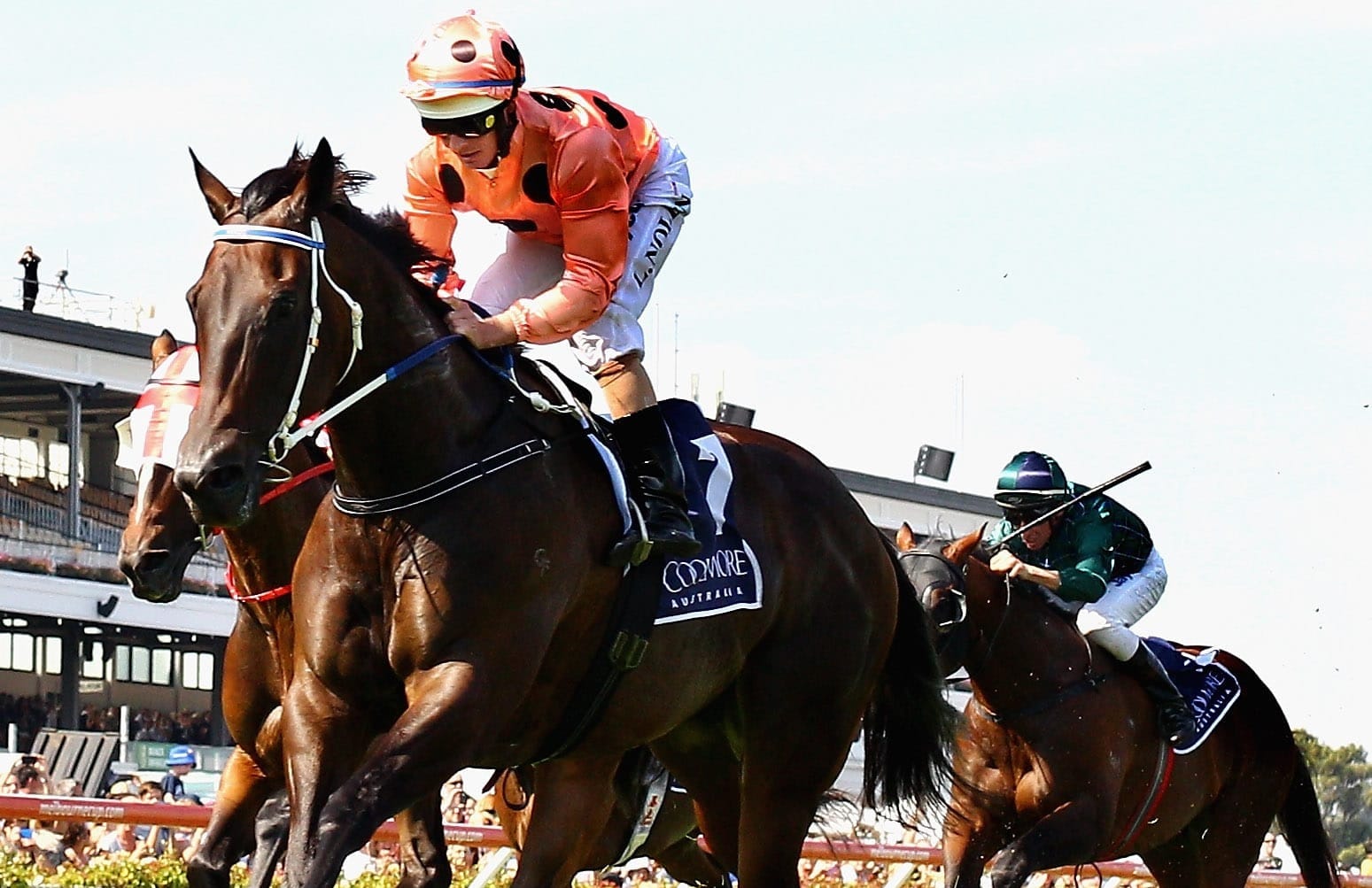 Black Caviar's sudden death prompts outpouring of tributes