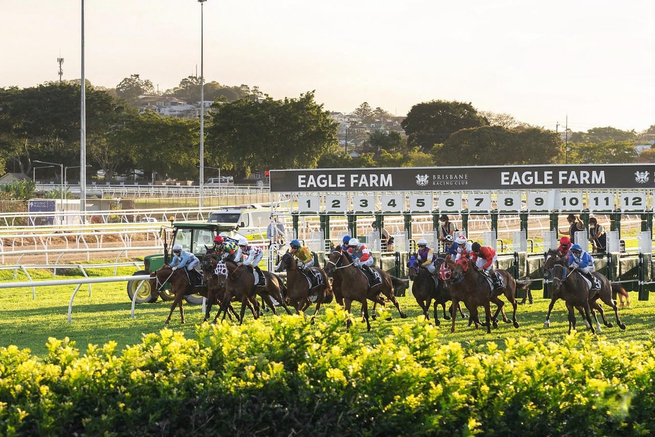 Still without a CEO, Brisbane Racing Club faces board changes