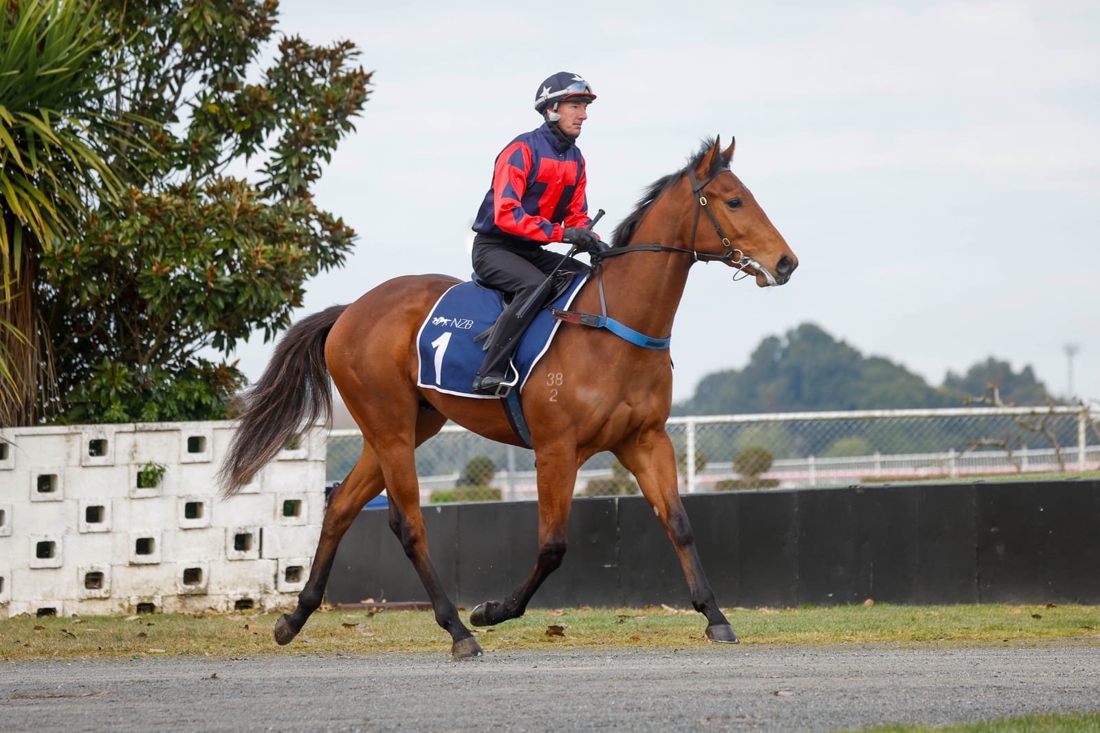 New Zealand’s TAB Racing Club off and running