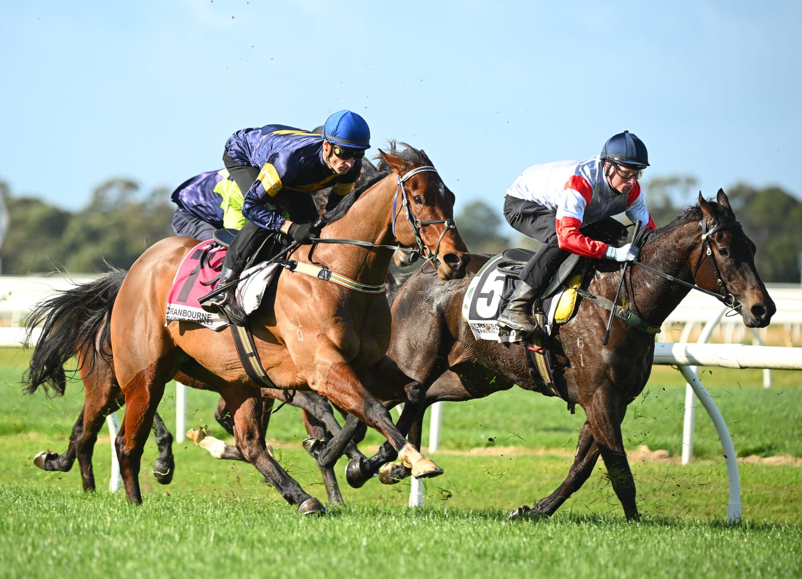 A $5 million burden - Racing Victoria puts onus on jockeys, trainers to reach agreement over jumpouts pay