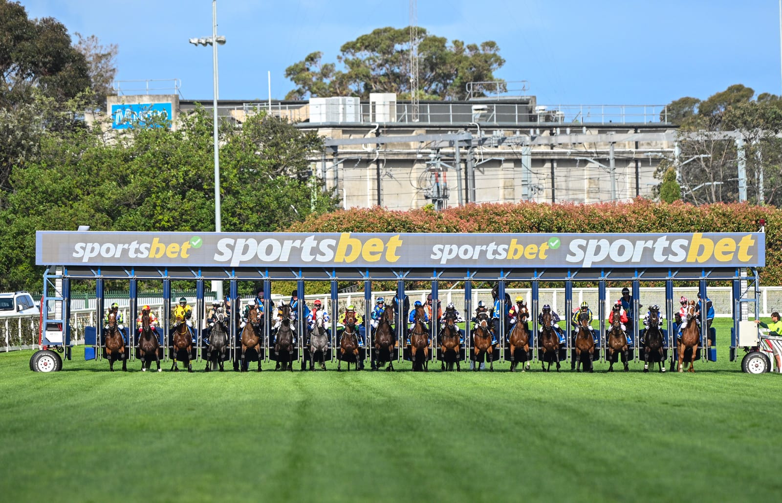 ‘Encouraging trends’ – Sportsbet grows revenue and customers despite softness in turnover and racing